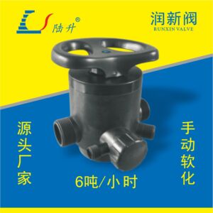 润新阀手动软化61206/F64F