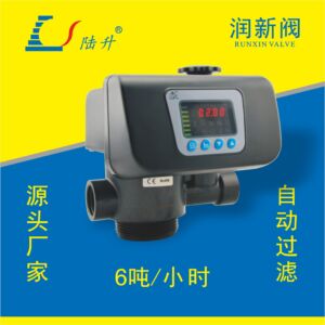 润新全自动过滤阀53506S/F67B1-A